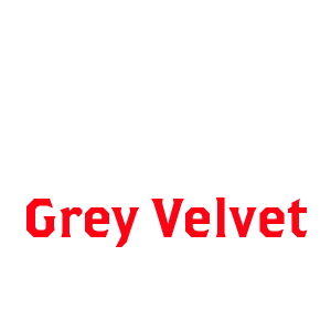 Grey Velvet