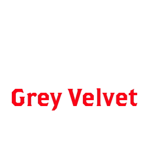 Grey Velvet