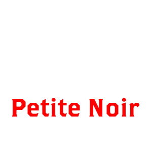 Petite Noir